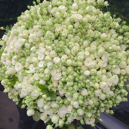 Flowers delivery Armenia